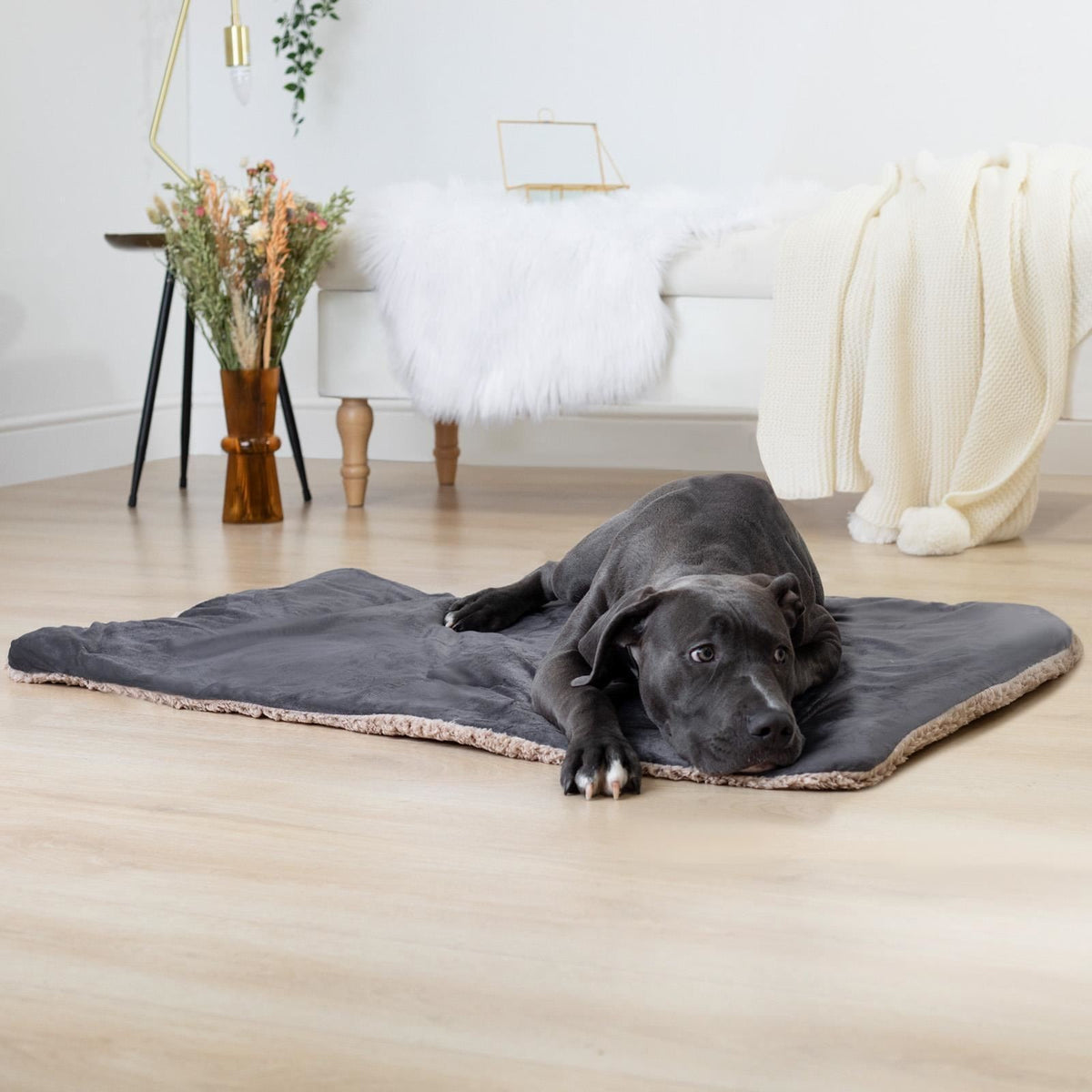 OHS Quilted Pet Blanket Soft Sherpa Fleece Animal Dog Cat Throw