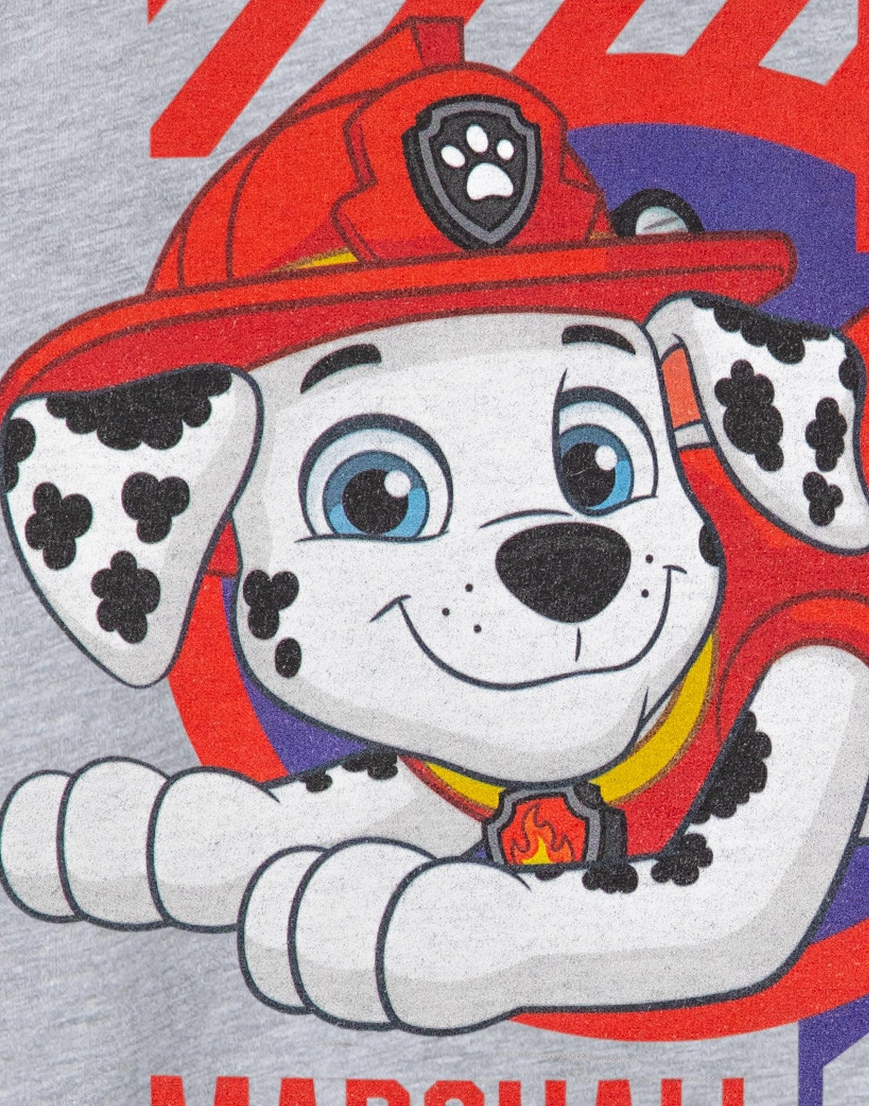 Paw Patrol Short Sleeved T-Shirt | Boys Grey Marl | Official Merch
